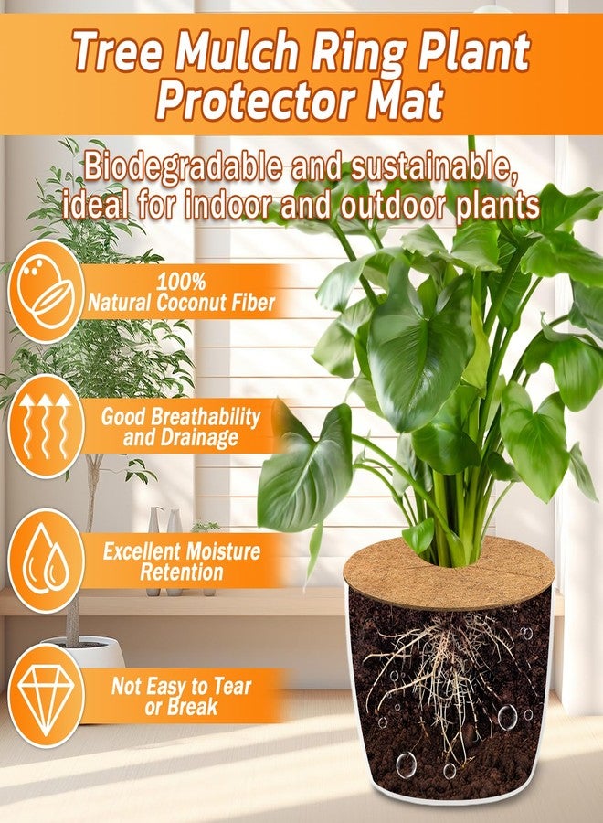 Legigo 4pcs Coconut Fiber Mulch Ring Tree Plant Protector Mat, 24 Inch Natural Coco Coir Tree Protection Ring Plant Pot Soil Cover, Tree Rings Disc Plant Cover for Indoor Outdoor Plants,Landscaping - Image 3