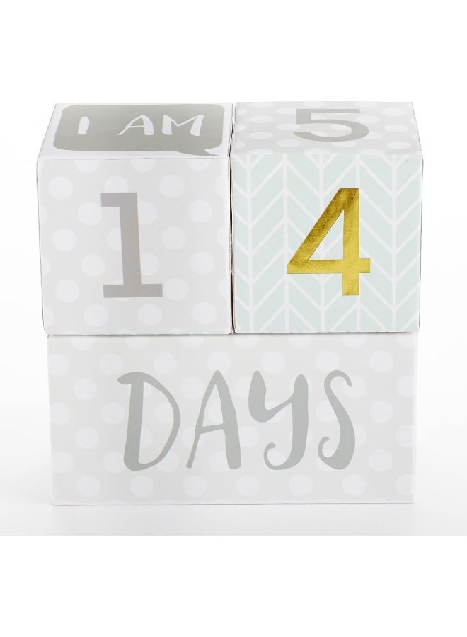 Baby Aspen My First Milestone Age Blocks - Image 4