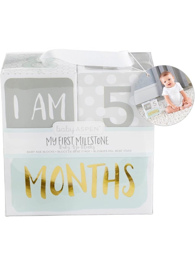 Baby Aspen My First Milestone Age Blocks - Image 1