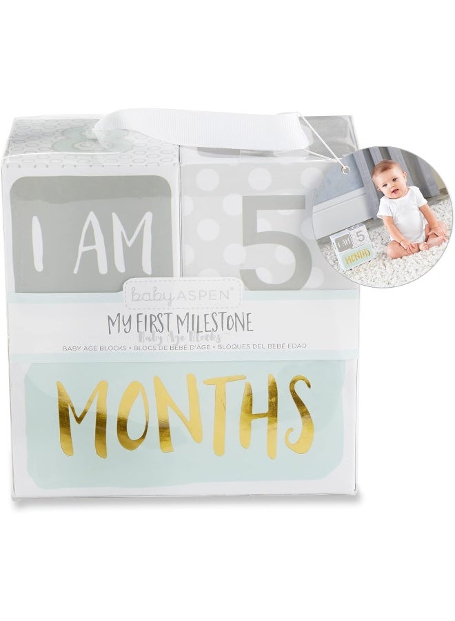 Baby Aspen My First Milestone Age Blocks - Image 2