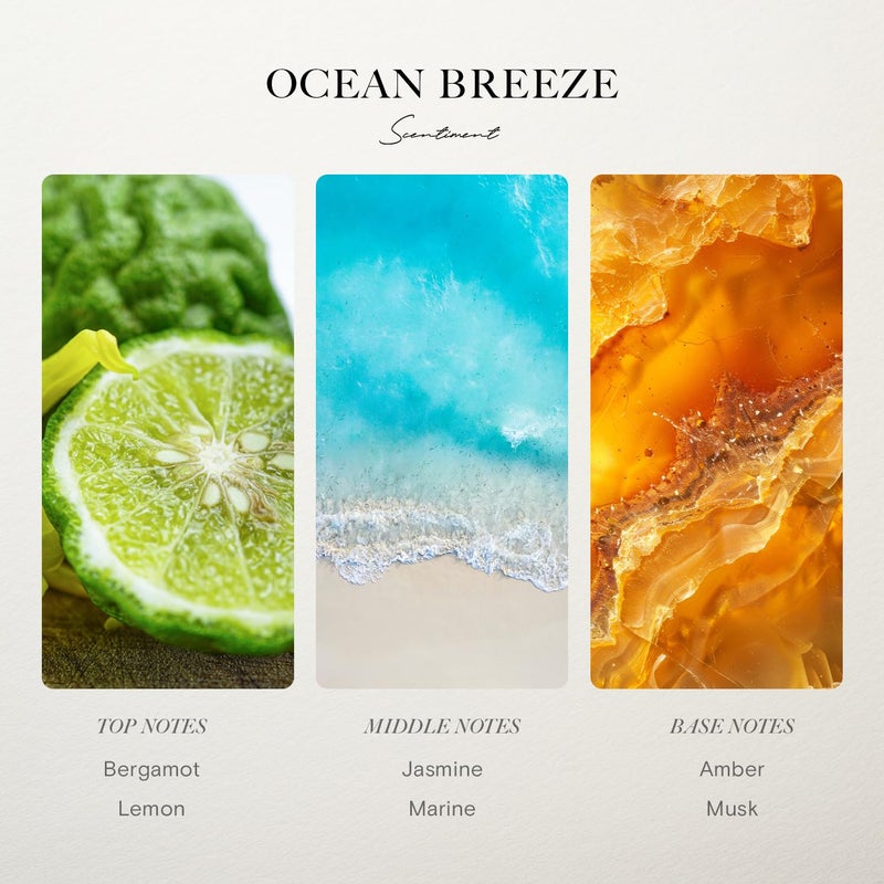 Scentiment Diffuser Oil - Ocean Breeze | Inspired by Five Star Hotels' Lobby Scent | Luxurious Scent with Notes of Bergamot, Lemon, Jasmine with Marine & Amber (50ml) - Image 2