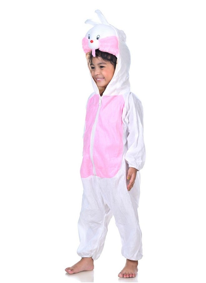 بوك ماي كوستيوم زي تنكري للأطفال من BookMyCostume على شكل أرنب حيواني من عمر 4 إلى 5 سنوات  - Image 2