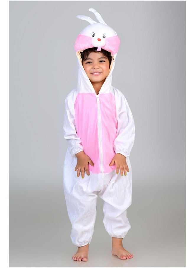 بوك ماي كوستيوم زي تنكري للأطفال من BookMyCostume على شكل أرنب حيواني من عمر 4 إلى 5 سنوات  - Image 5