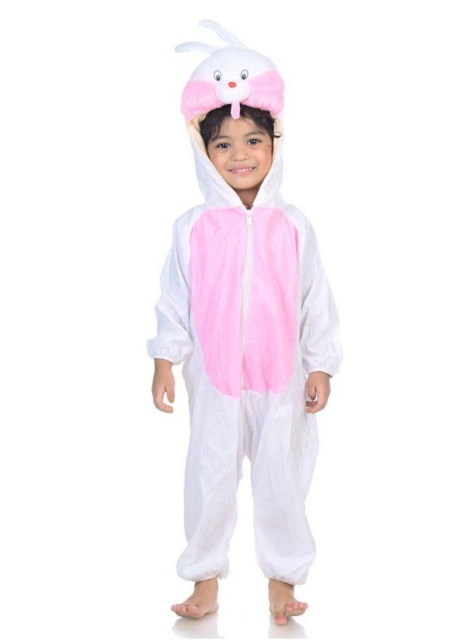 بوك ماي كوستيوم زي تنكري للأطفال من BookMyCostume على شكل أرنب حيواني من عمر 4 إلى 5 سنوات  - Image 1