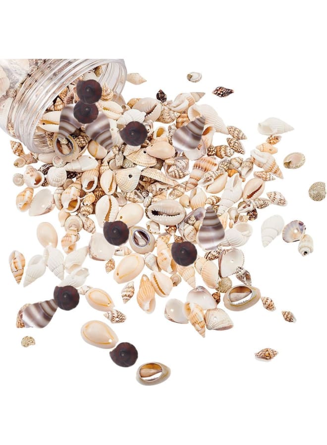175g Mixed Ocean Beach Spiral Seashells, 10 Styles Natural Craft Seashell Charms Small Conch Shell with Hole for Home Party Wedding Decor Candle Making Fish Tank Vase Filler - Image 1