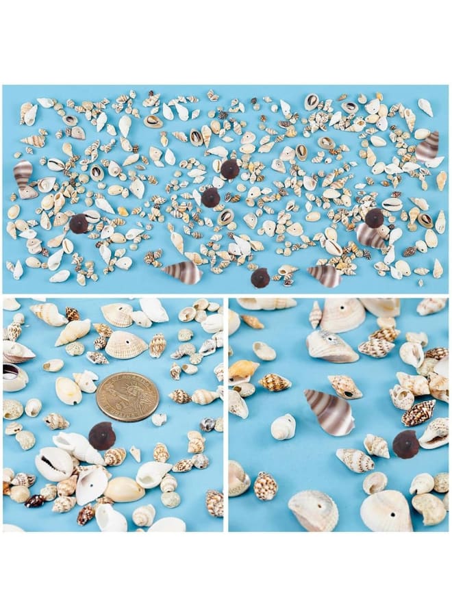 175g Mixed Ocean Beach Spiral Seashells, 10 Styles Natural Craft Seashell Charms Small Conch Shell with Hole for Home Party Wedding Decor Candle Making Fish Tank Vase Filler - Image 5