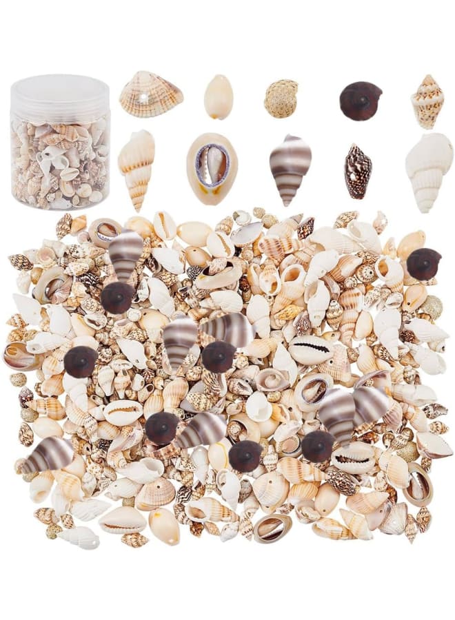 175g Mixed Ocean Beach Spiral Seashells, 10 Styles Natural Craft Seashell Charms Small Conch Shell with Hole for Home Party Wedding Decor Candle Making Fish Tank Vase Filler - Image 2
