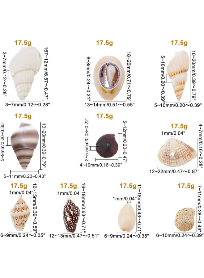 175g Mixed Ocean Beach Spiral Seashells, 10 Styles Natural Craft Seashell Charms Small Conch Shell with Hole for Home Party Wedding Decor Candle Making Fish Tank Vase Filler - Image 3