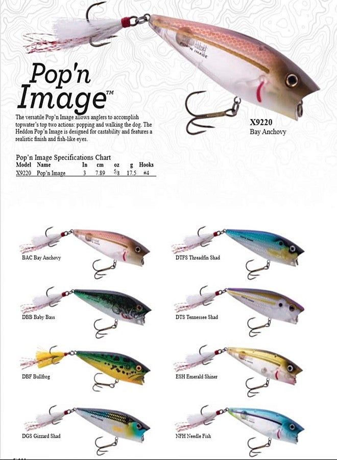 Heddon Pop'N Image Topwater Fishing Lure - Excellent Popping and Walk-the-Dog Action Pop'N Image (5/8 oz) - Image 2