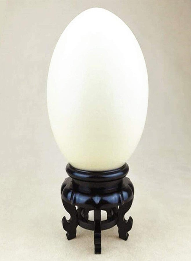 Fdit Display Stand, Carving Crafts, Egg Tray Base Bottom, Ornament for Homes or Offices, High Stability - Image 1