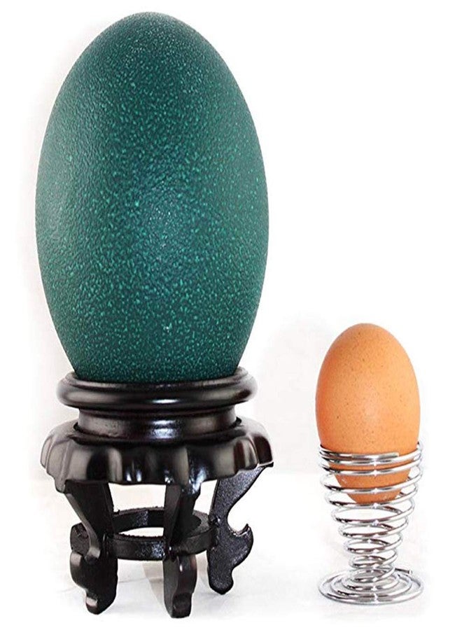 Fdit Display Stand, Carving Crafts, Egg Tray Base Bottom, Ornament for Homes or Offices, High Stability - Image 3