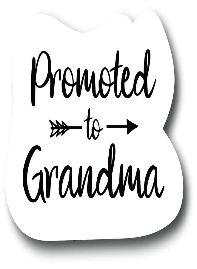 2 Pack Grandma Sticker Promoted to Grandma 4 in Decal Fashion Woman Sticker Graphic Auto, Wall, Laptop, Water Bottle |PS847| - Image 1