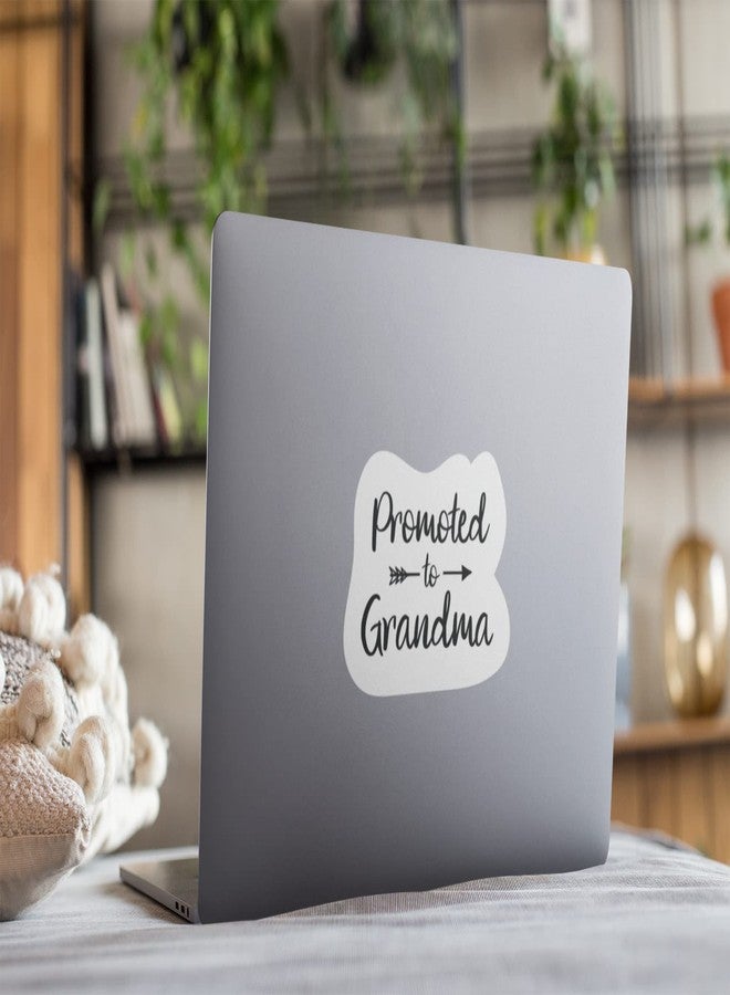 2 Pack Grandma Sticker Promoted to Grandma 4 in Decal Fashion Woman Sticker Graphic Auto, Wall, Laptop, Water Bottle |PS847| - Image 4