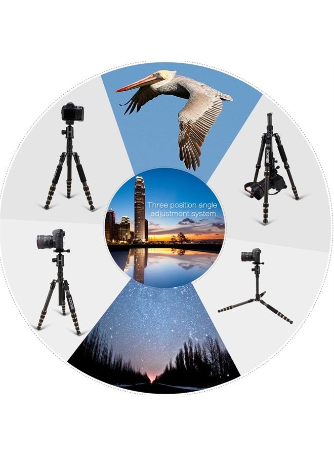 Zomei حامل ثلاثي القوائم محمول من ألياف الكربون Z669C مع رأس كروي للسفر المدمج لكانون وسوني ونيكون وسامسونج وباناسونيك وأوليمبوس وكوداك وفوجي وكاميرات الفيديو - Image 3