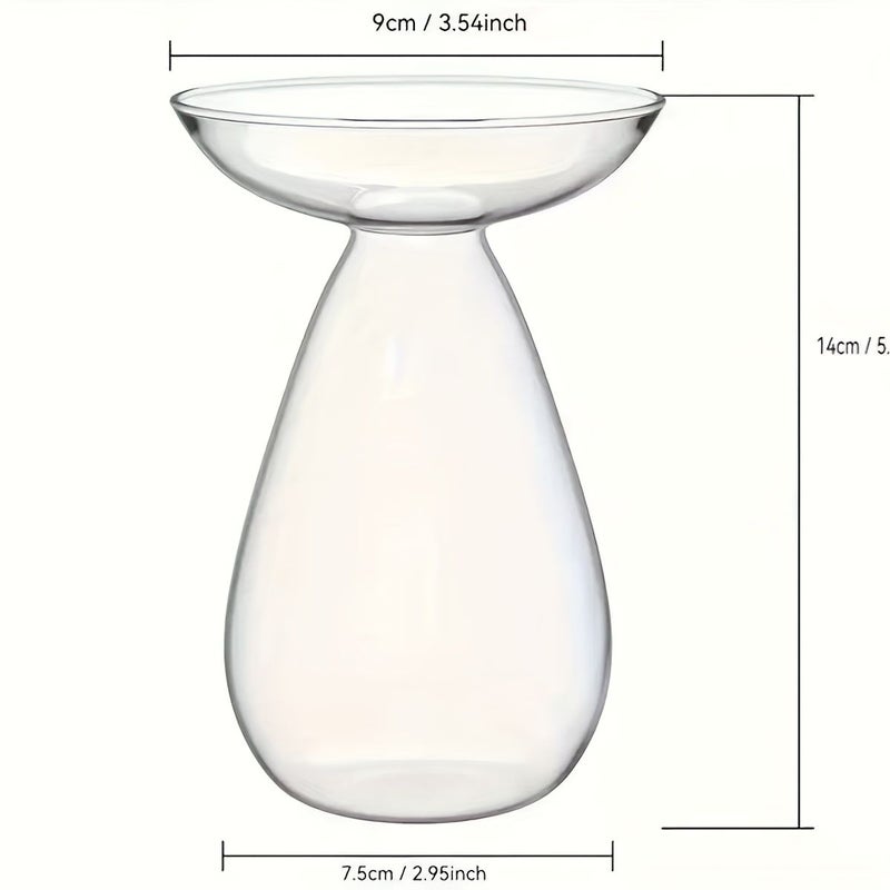 Transparent Avocado Seed Vase for Growing Tree Kit Indoor Outdoor - Image 3