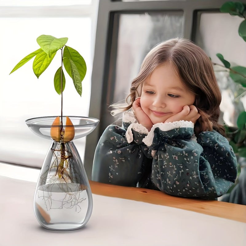 Transparent Avocado Seed Vase for Growing Tree Kit Indoor Outdoor - Image 2