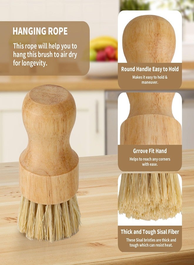 Axigundaone 12 Pack Bamboo Dish Brush Bulk, Bamboo Dish Scrubber, Wood Palm Dish Scrub Brush for Dishes Pans, Pots,Vegetables Cleaning - Image 4