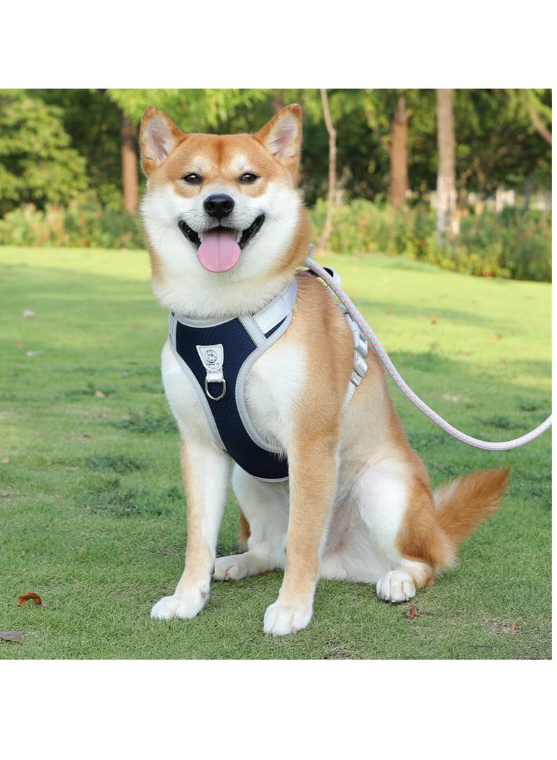 سيوسي مقود الكلب المنزلق، حبل تدريب الحيوانات الأليفة المتين بطول 5 أقدام × 0.5 للجراء والكلاب، مثالي للتدريب على عدم سحب السلوك، تصميم حلقة لسهولة المشي - Image 5