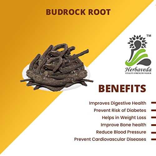 LEANBEING Herbaveda- Burdock Root For Tea 100g | Rich in Antioxidants | Good for Skin - Image 2