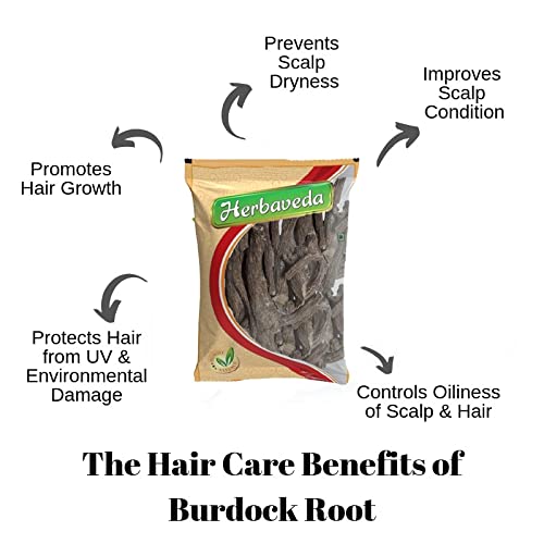 LEANBEING Herbaveda- Burdock Root For Tea 100g | Rich in Antioxidants | Good for Skin - Image 3