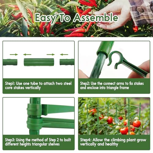 Riare 6 Pack 5.2 FT Tomato Cages for Garden- 63inches Heavy Duty Garden Stakes, Adjustable Tall Tomato Plant Support Tomato Trellis Cage for Pots, Raised Garden Bed, Climbing Vegetables Plants Flowers - Image 4