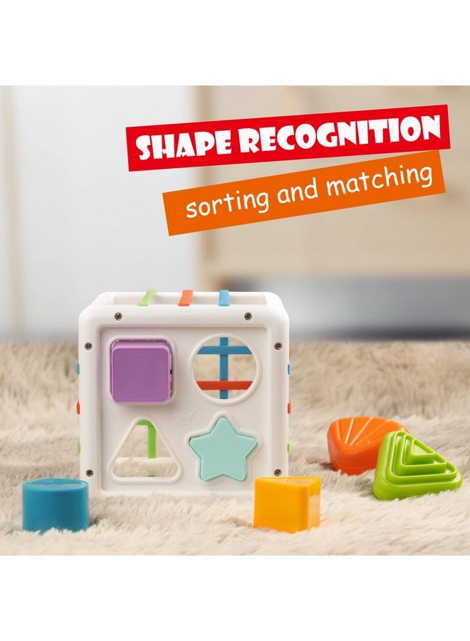 LiKee Sensory Toys Shape Sorter Baby Blocks Colorful Textured Balls Sorting Games Montessori Learning Activity For Fine Motor Skills Early Development Infants Toddlers Kids Boys Girls 18+ Months Old - Image 4