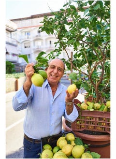 Gennaro's Fast Cook Italian: From fridge to fork in 40 minutes or less  - Image 2