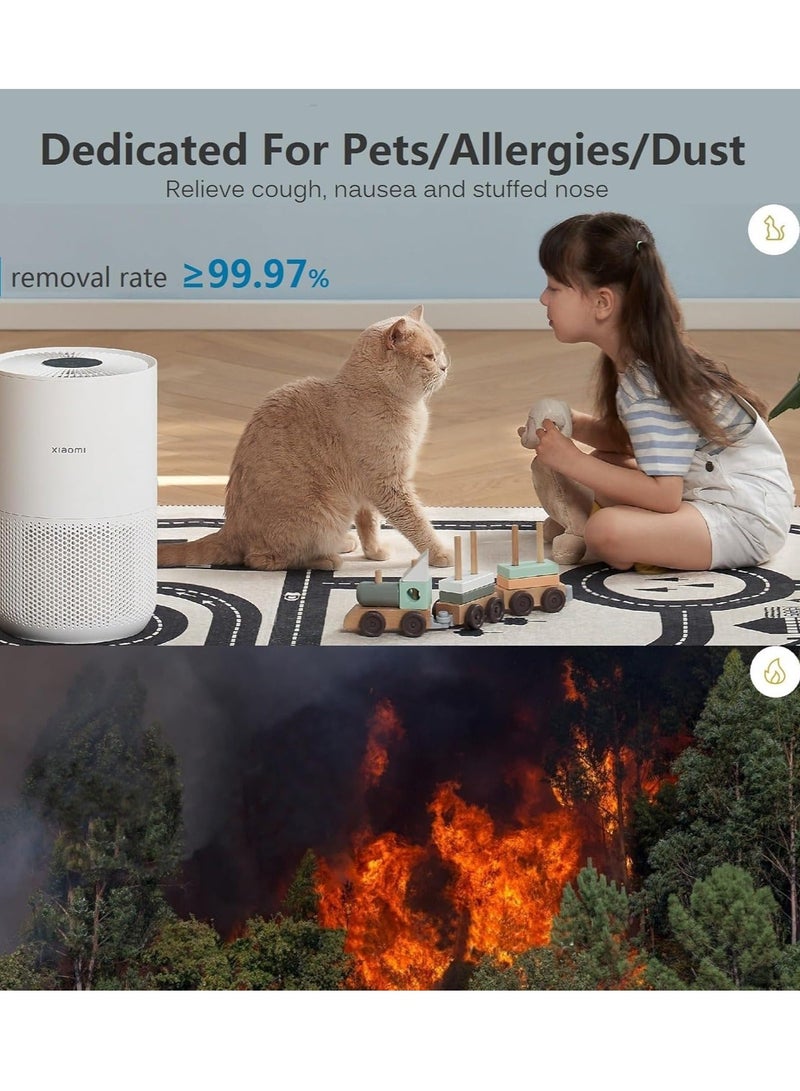 Y&D Xiaomi Replacement Air Purifier Filter Replaceable Inner Core Filter Activated Carbon Pure Air for Dust Allergens Odors Filter Clean Air Dust Removal 3-in-1 H13 True HEPA-Grade Odor Elimination High Efficiency Dust Pollen Pet Dander Removal 1-Pack Compatible with Xiaomi 4 Compact Model Changable Filter Suitable for Home Bedroom Office - Image 4