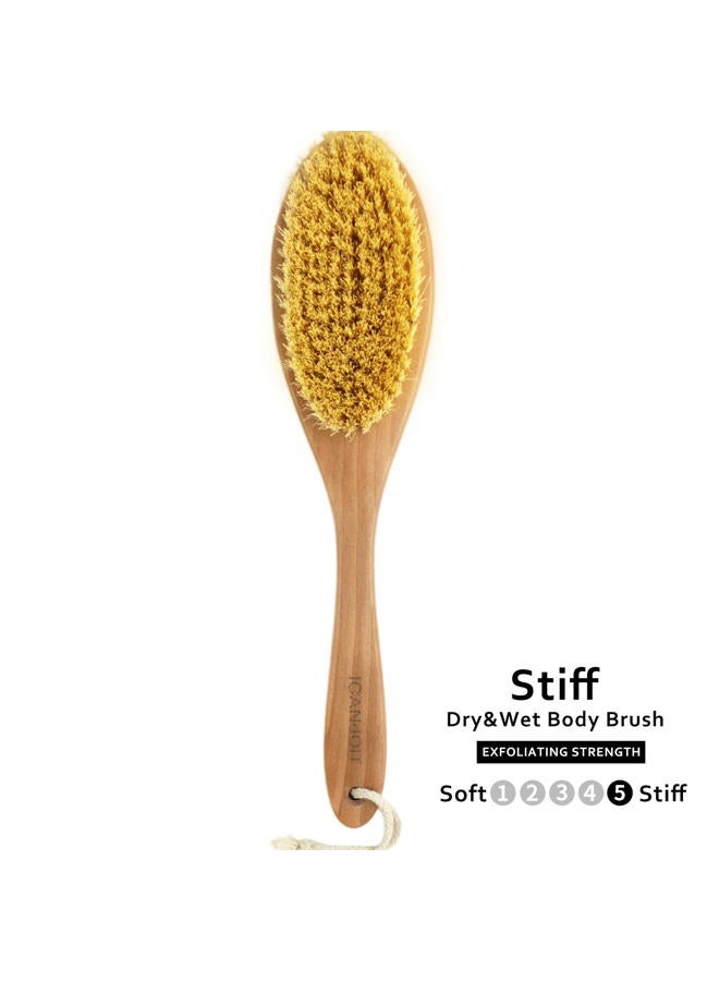 ICDI ICANdOIT فرشاة جسم جافة جدًا للرجال والنساء، فرشاة جلد جاف ذات مقبض طويل للسيلوليت وتصريف اللمف بشعيرات طبيعية من ألياف صبار التامبيكو - Image 3