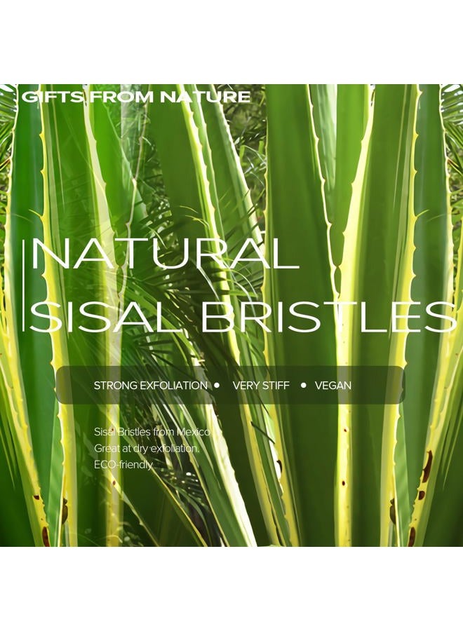 ICDI ICANdOIT فرشاة جسم جافة جدًا للرجال والنساء، فرشاة جلد جاف ذات مقبض طويل للسيلوليت وتصريف اللمف بشعيرات طبيعية من ألياف صبار التامبيكو - Image 5