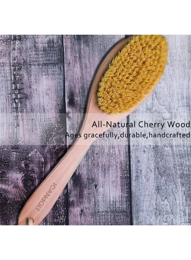 ICDI ICANdOIT فرشاة جسم جافة جدًا للرجال والنساء، فرشاة جلد جاف ذات مقبض طويل للسيلوليت وتصريف اللمف بشعيرات طبيعية من ألياف صبار التامبيكو - Image 4