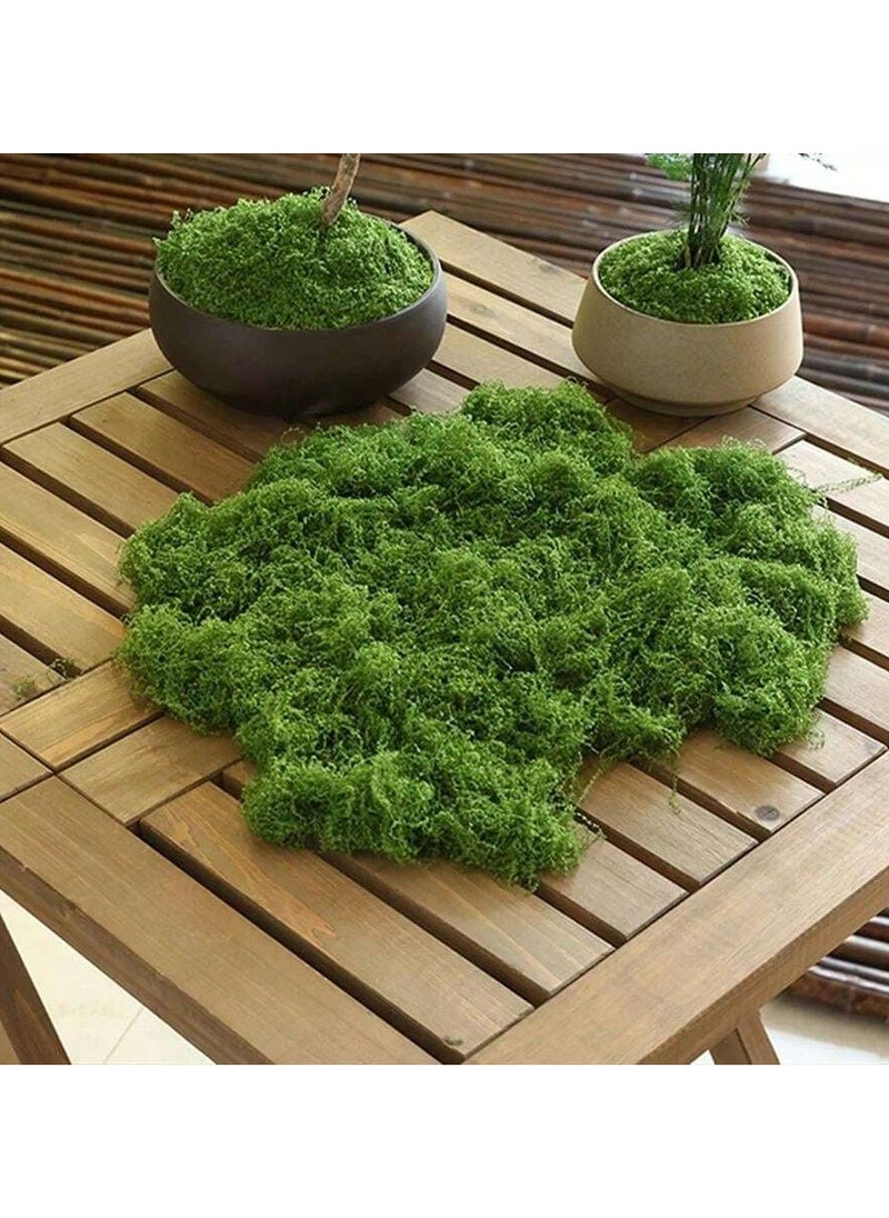 Generic 50g Artificial Fake Moss, DIY Simulation Moss Grass Micro Landscape Layout, Green Plant Lawn Potted Plant Window Decoration Landscape Design  - Image 1