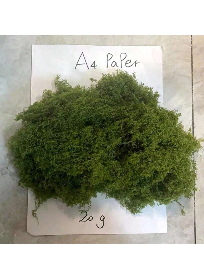 Generic 50g Artificial Fake Moss, DIY Simulation Moss Grass Micro Landscape Layout, Green Plant Lawn Potted Plant Window Decoration Landscape Design  - Image 3
