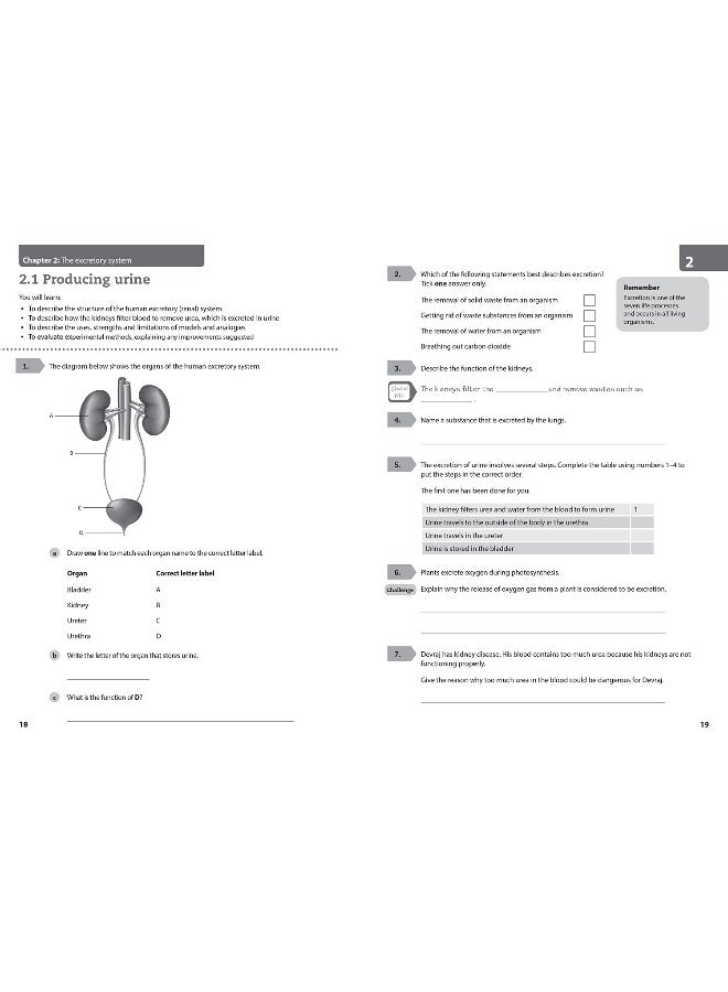 Lower Secondary Science Workbook: Stage 9 - Image 3