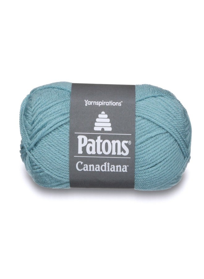Patons Canadiana Yarn - Solids, Pale Teal - Image 1
