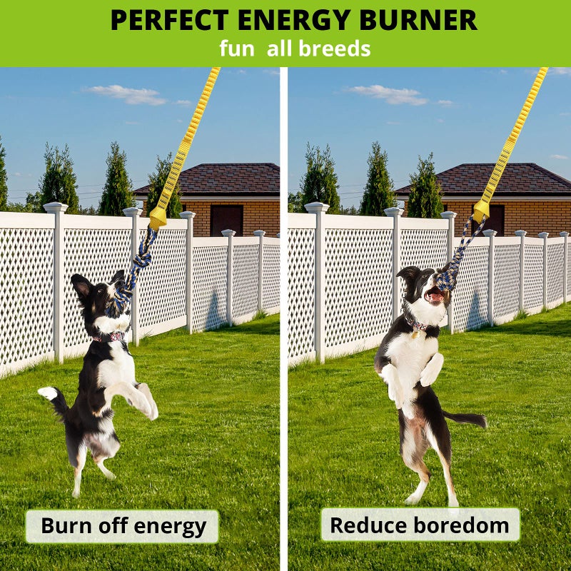 HOKINETY Dog Hanging Bungee Tug Toy: Interactive Tether Tug-of-War for Pitbull Small to Large Dogs to Exercise and Fun Solo Play - Durable Retractable Tugger Dog Rope Toy with 2 Chew Rope Toys - Image 4