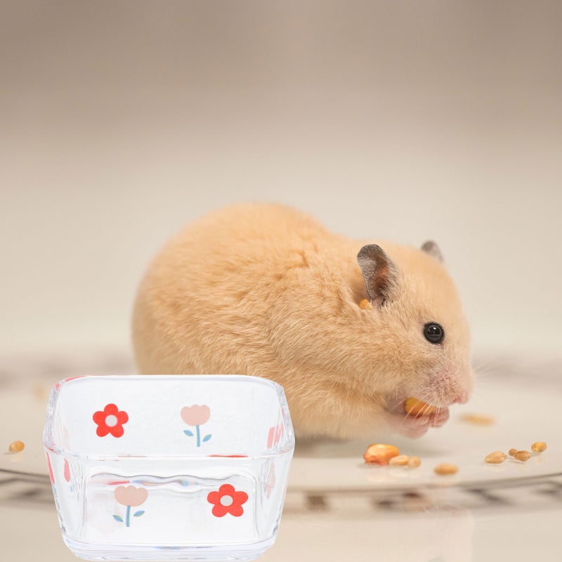 2pcs Hamster Food Bowl Water Bowl Small Glass Bowl Gerbil Food Bowl - Image 2