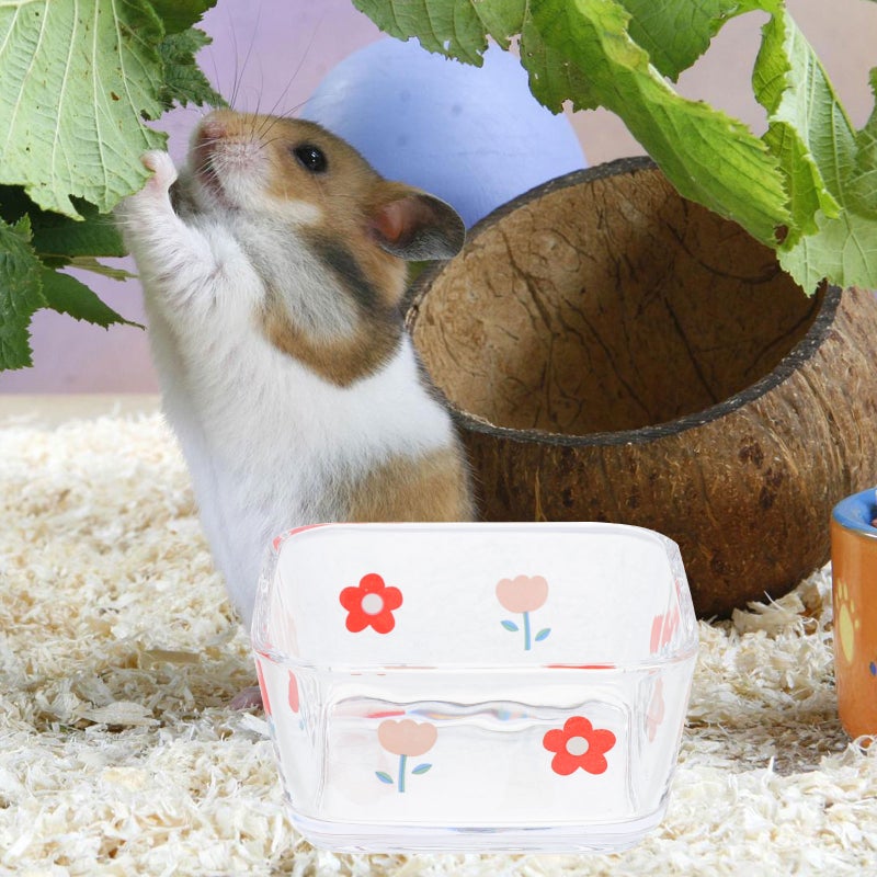 2pcs Hamster Food Bowl Water Bowl Small Glass Bowl Gerbil Food Bowl - Image 1