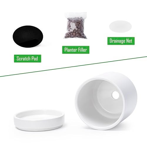 D'vine Dev Set of 2 Plants Pot, 4.7 Inch Ceramic Planter Pot for Plants with Drainage Hole and Saucer, White, 94-V-B-1 - Image 4