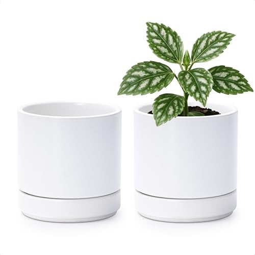 D'vine Dev Set of 2 Plants Pot, 4.7 Inch Ceramic Planter Pot for Plants with Drainage Hole and Saucer, White, 94-V-B-1 - Image 1