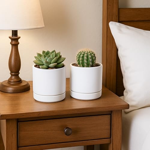D'vine Dev Set of 2 Plants Pot, 4.7 Inch Ceramic Planter Pot for Plants with Drainage Hole and Saucer, White, 94-V-B-1 - Image 2