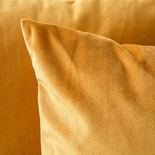 Khooti Velvet Cushion Cover, 14x14 | Gold | Pack of 2 | Solid Plain Soft & Smooth, Decorative Cushion Covers for Living Room, Bedroom, Couches, Chairs, Sofas, Beds & Home Decor - Image 2