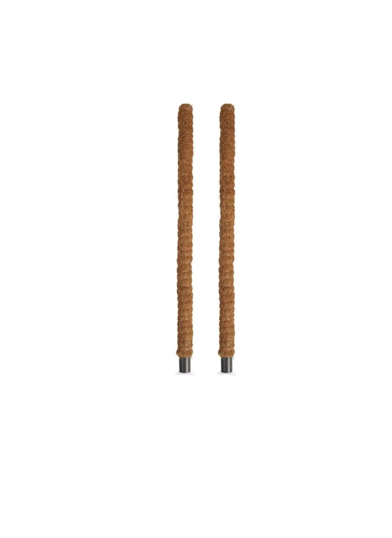 ritaj - Moss Stick for Plant Support Extension Climbing Indoor Plants 100 cm 2 Pack - Image 1