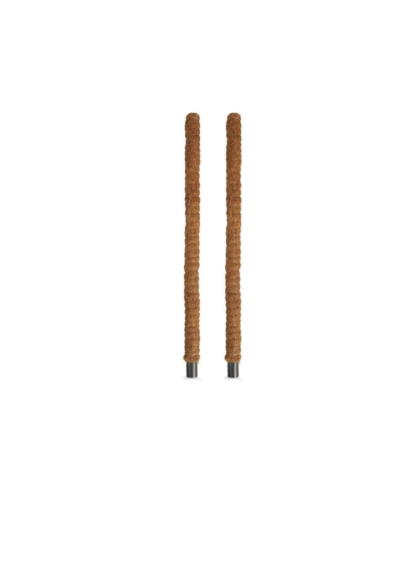 ritaj - Moss Stick for Plant Support Extension Climbing Indoor Plants 100 cm 2 Pack - Image 1