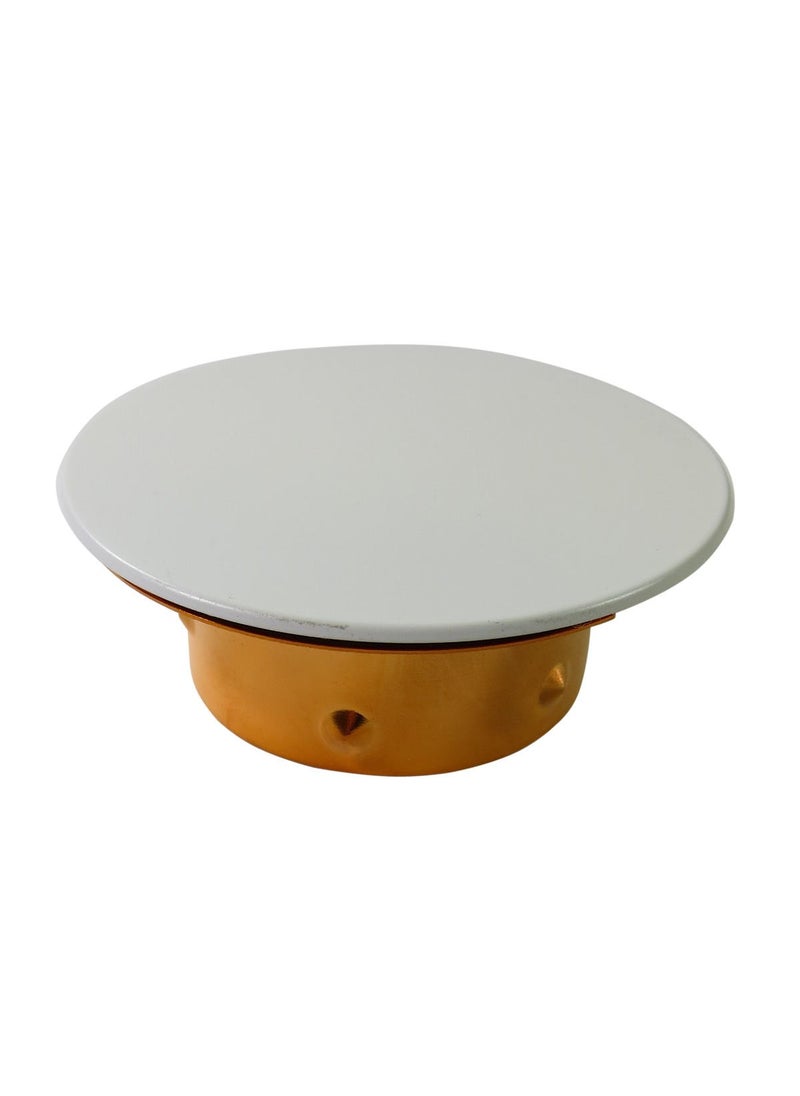 Tyco Tyco LFII White Flat Cover Plate  139 Degrees 