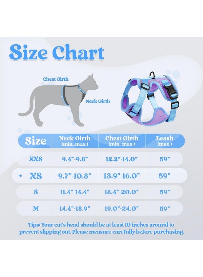 رابيتجو طقم حزام ومقود للقطط من rabbitgoo، حزام صدرية ناعم قابل للتعديل مقاوم للهروب للمشي في الهواء الطلق، سترة قطط صغيرة سهلة التحكم وجيدة التهوية مع شرائط عاكسة، بنفسجي وأزرق، مقاس XS - Image 2
