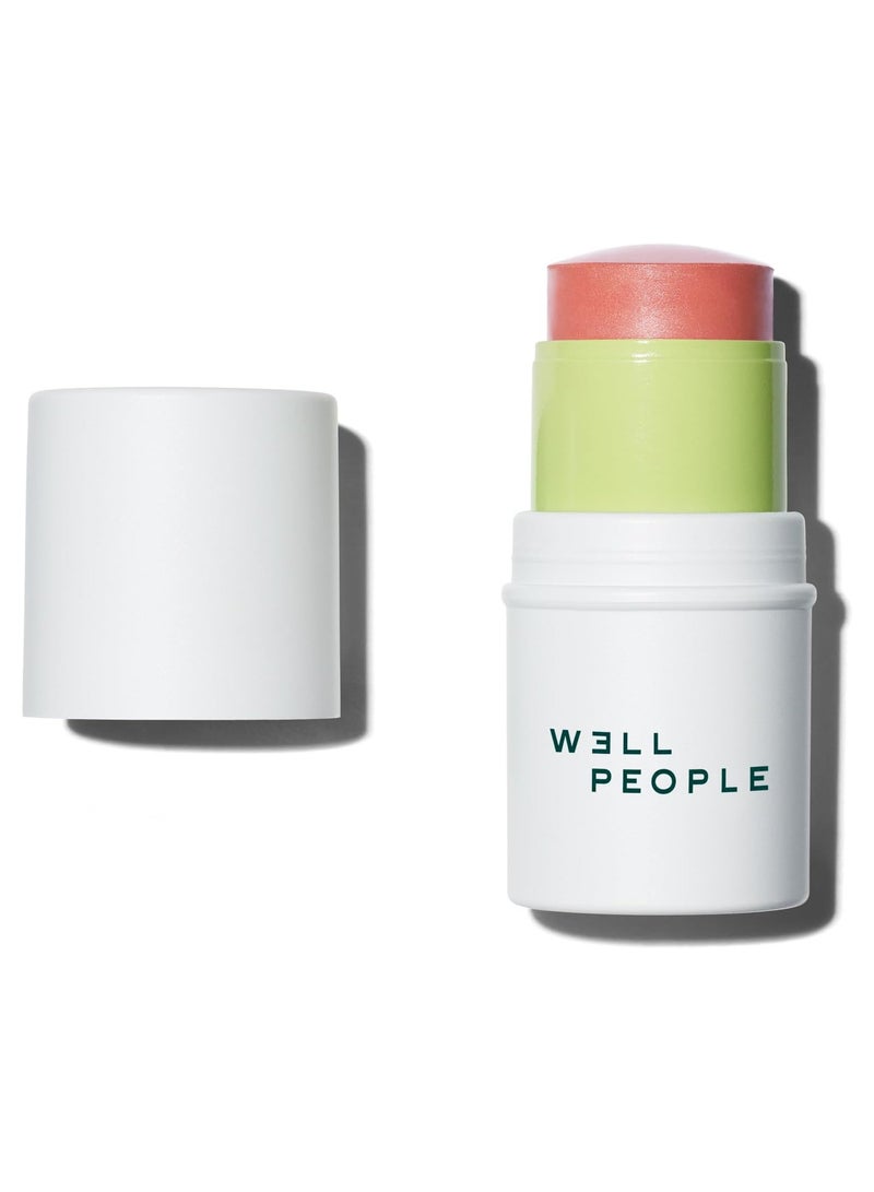 W3LL PEOPLE Multi Stick universalist 8, 0.17 Ounce Rose - Image 1