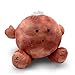 Celestial Buddies Mars Buddy 9 Soft Stuffed Plush Embroidered Features Fun Red Planet Facts Tag for Kids STEM Learning Educational Gift Classroom Homeschool Science Space Astronomy 0 - Image 3