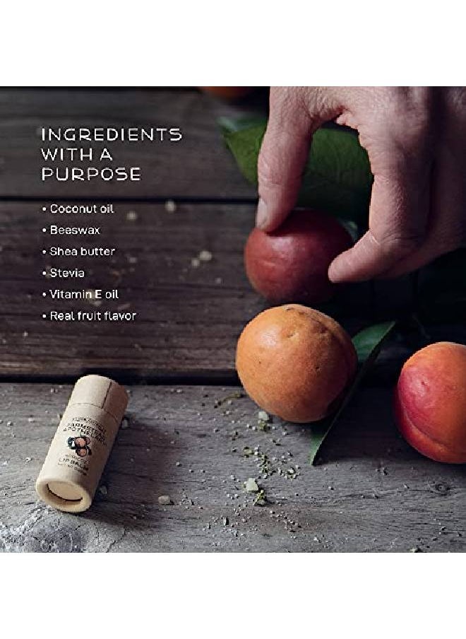 Farmstead Apothecary - 100% Natural Lip Balm With Organic Beeswax Organic Shea Butter & Organic Coconut Oil Apricot 0.2Oz (Pack Of 2) - Image 1
