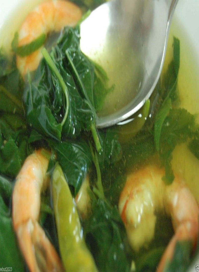 GGOOT Jute Seeds, Egyptian Spinach,(100) Saluyot, Molokhia, Plant Spring Or Summer - Image 3